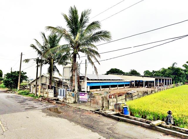 雲林元長畜牧場法拍-1